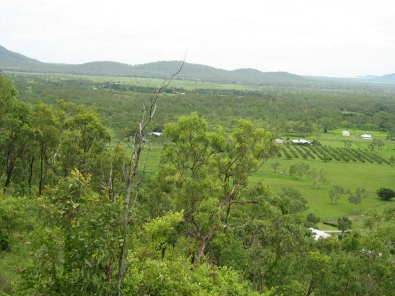 Alligator Creek QLD 4816