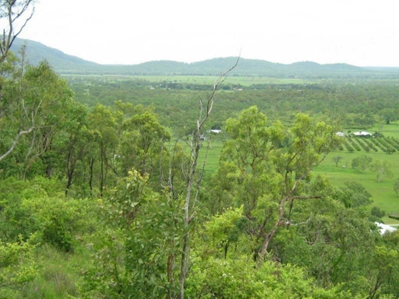 Alligator Creek QLD 4816