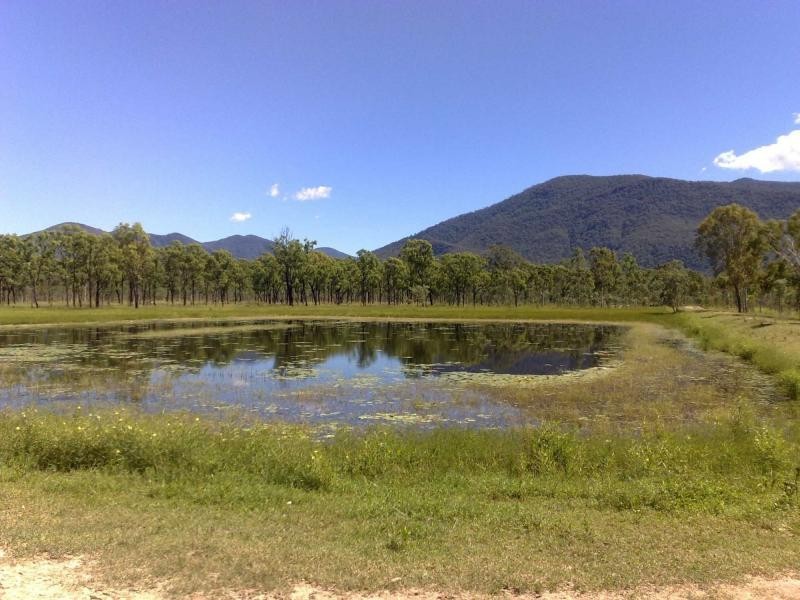 Majors Creek QLD 4816