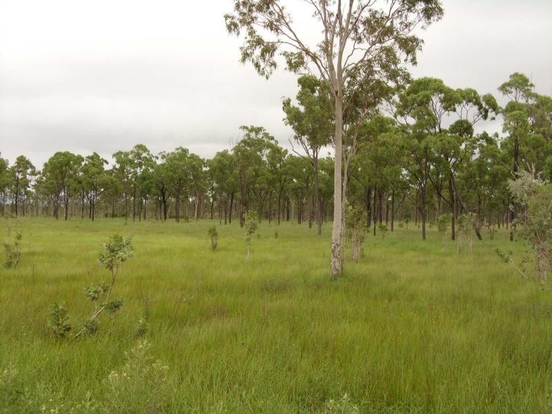 Majors Creek QLD 4816