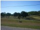 Alligator Creek QLD 4816