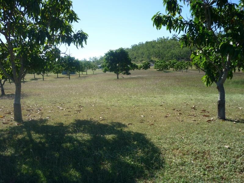 Alligator Creek QLD 4816