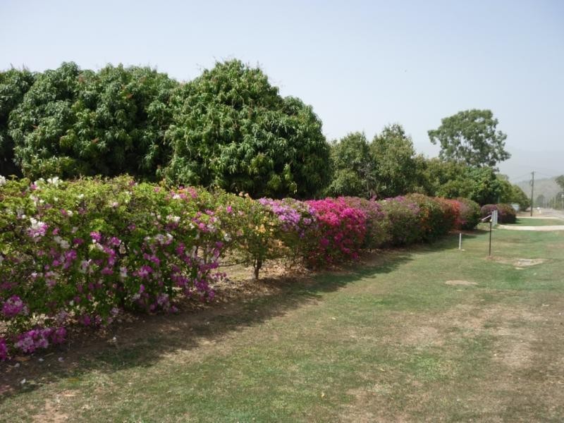 Alligator Creek QLD 4816