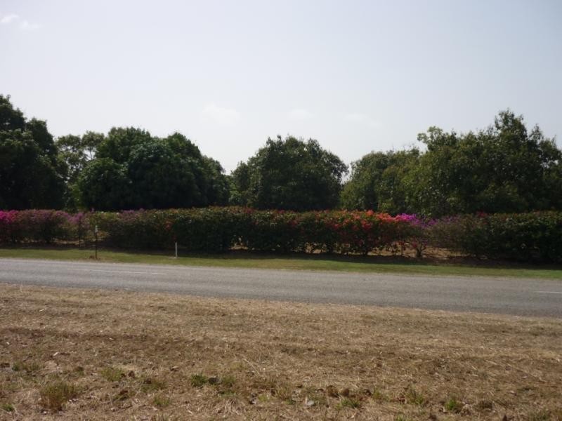 Alligator Creek QLD 4816