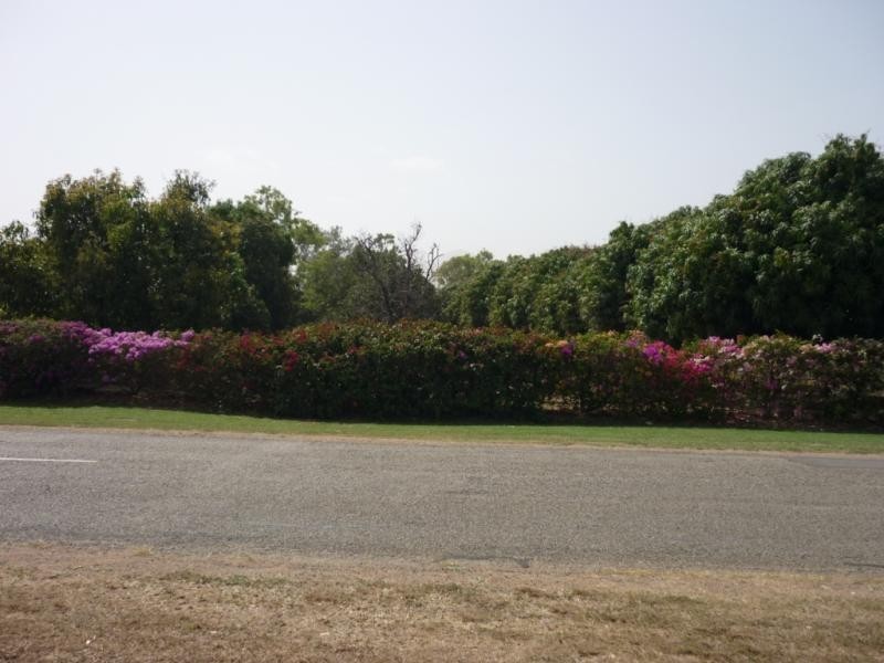 Alligator Creek QLD 4816