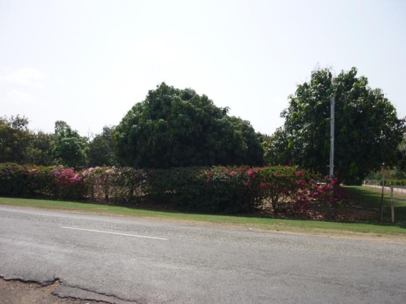 Alligator Creek QLD 4816