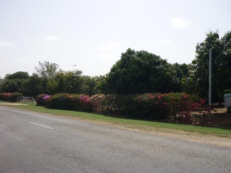 Alligator Creek QLD 4816