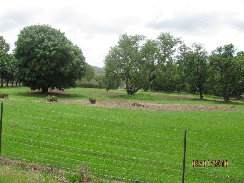 Alligator Creek QLD 4816