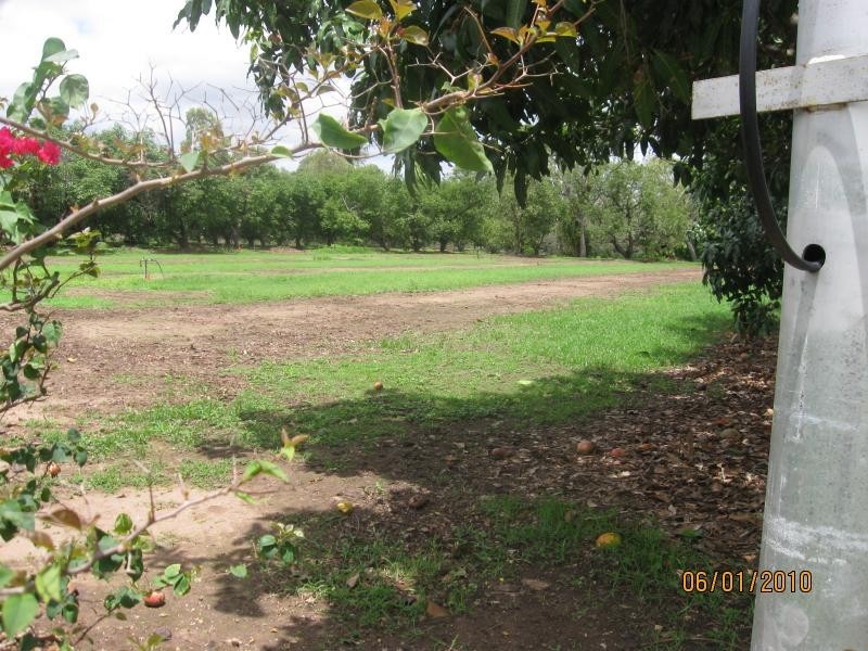 Alligator Creek QLD 4816