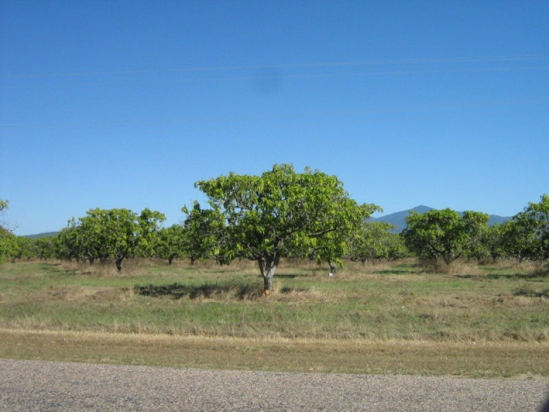 80 bartlett, Giru QLD 4809