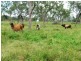 1947 Woodstock Giru Road, Majors Creek QLD 4816