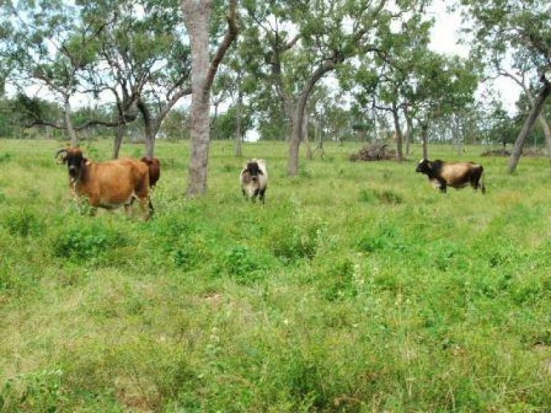 1947 Woodstock Giru Road, Majors Creek QLD 4816