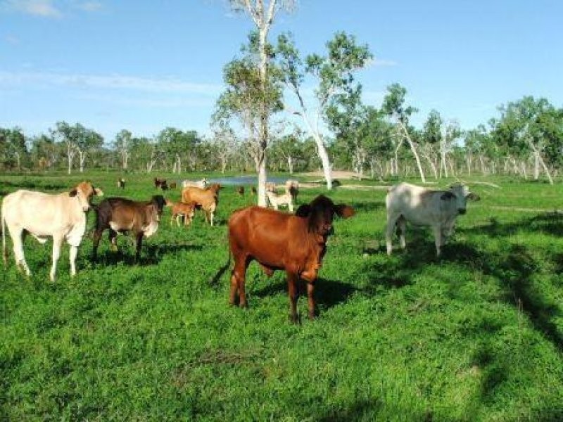 1947 Woodstock Giru Road, Majors Creek QLD 4816