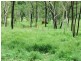 1947 Woodstock Giru Road, Majors Creek QLD 4816