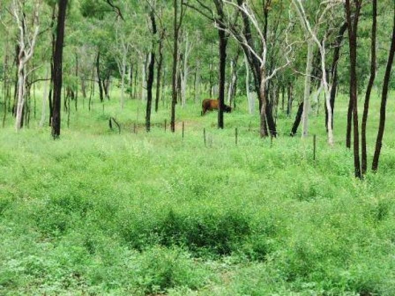 1947 Woodstock Giru Road, Majors Creek QLD 4816