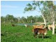 1947 Woodstock Giru Road, Majors Creek QLD 4816