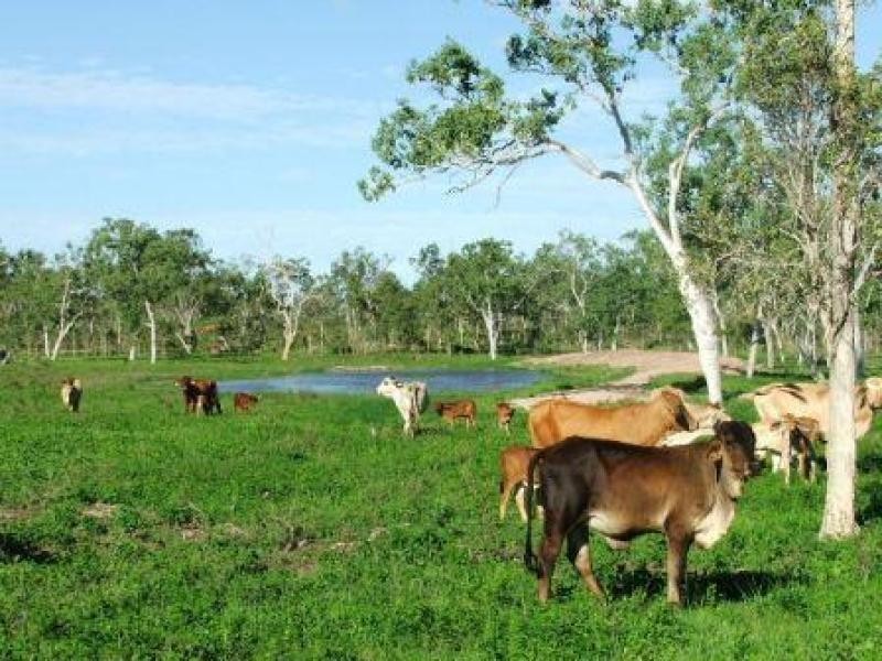 1947 Woodstock Giru Road, Majors Creek QLD 4816