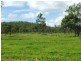 1947 Woodstock Giru Road, Majors Creek QLD 4816