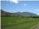 41 haberecht Road, Majors Creek QLD 4816
