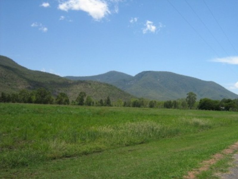 41 haberecht Road, Majors Creek QLD 4816