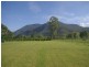 41 haberecht Road, Majors Creek QLD 4816