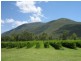 41 haberecht Road, Majors Creek QLD 4816