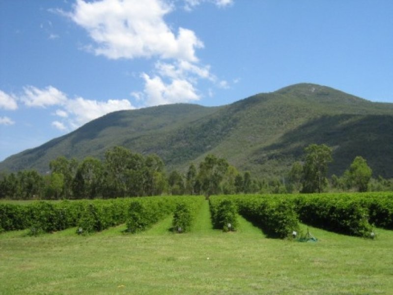 41 haberecht Road, Majors Creek QLD 4816