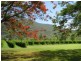 41 haberecht Road, Majors Creek QLD 4816