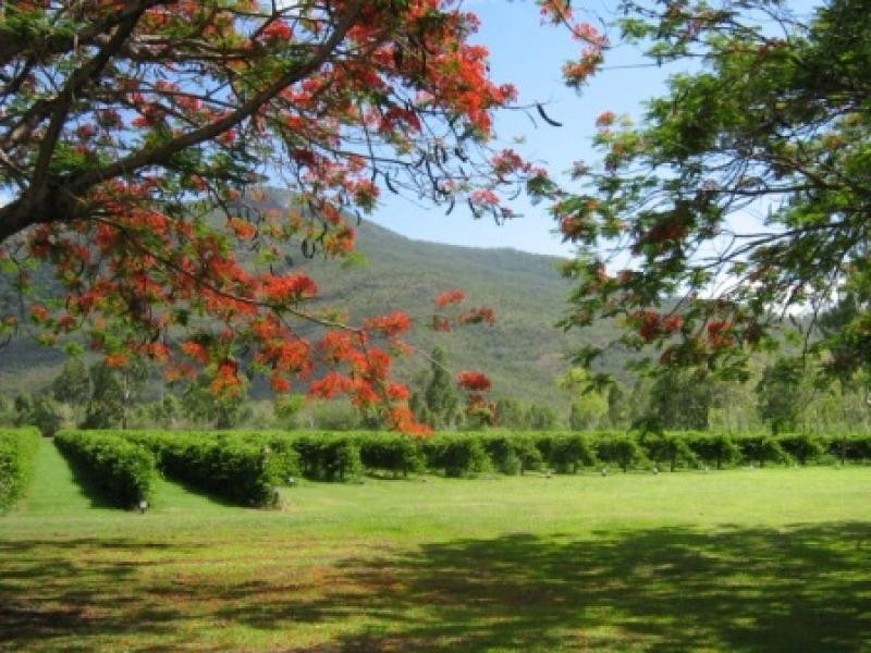 41 haberecht Road, Majors Creek QLD 4816
