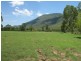 41 haberecht Road, Majors Creek QLD 4816