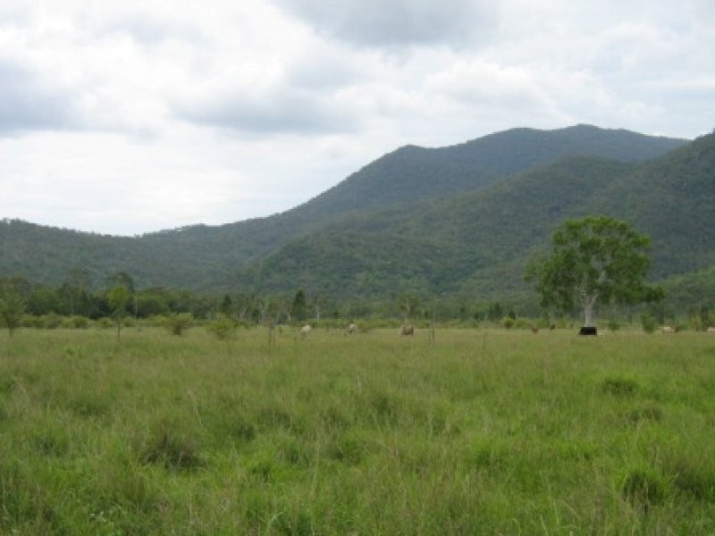 1324 Woodstock Giru Road, Majors Creek QLD 4816