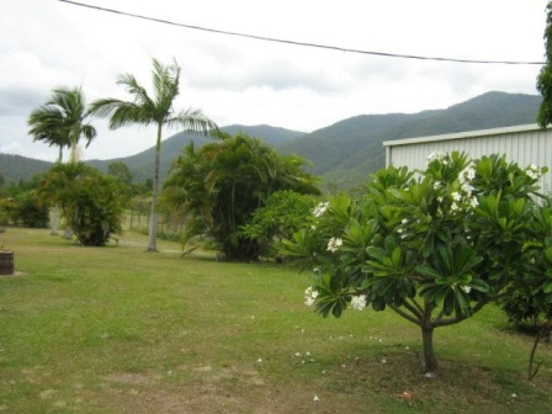 1324 Woodstock Giru Road, Majors Creek QLD 4816