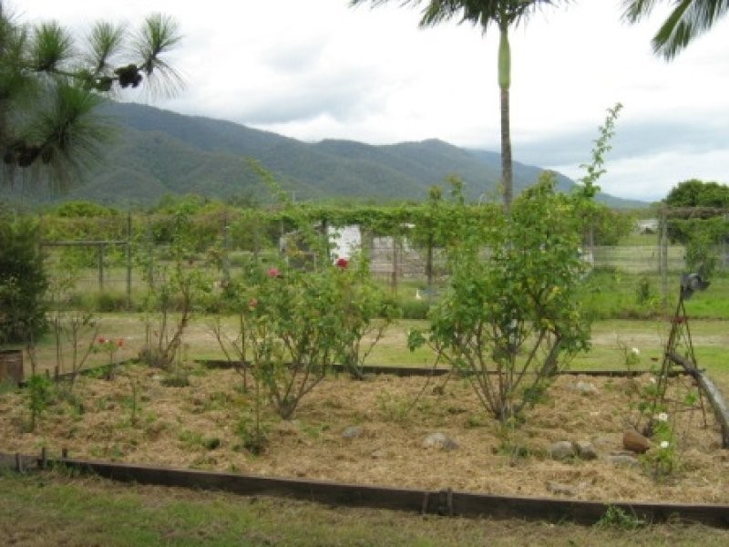 1324 Woodstock Giru Road, Majors Creek QLD 4816