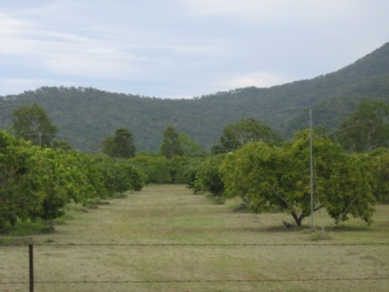 1324 Woodstock Giru Road, Majors Creek QLD 4816