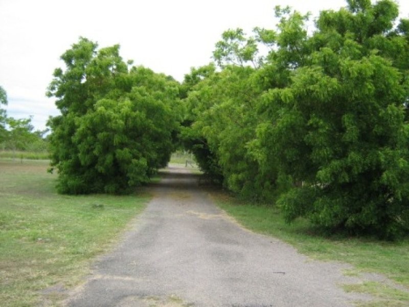 1324 Woodstock Giru Road, Majors Creek QLD 4816