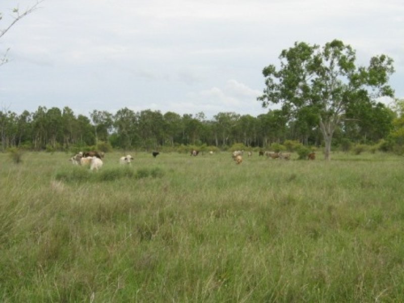 1324 Woodstock Giru Road, Majors Creek QLD 4816