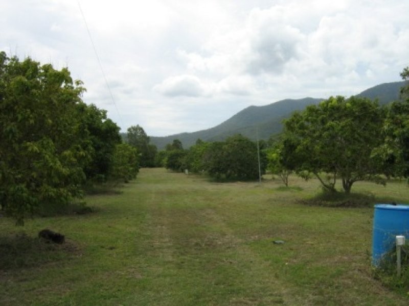 1324 Woodstock Giru Road, Majors Creek QLD 4816