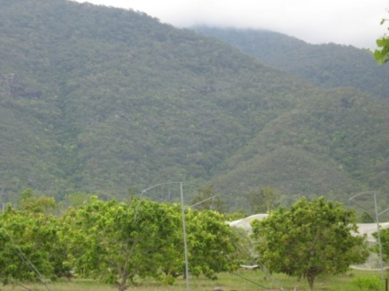 1324 Woodstock Giru Road, Majors Creek QLD 4816