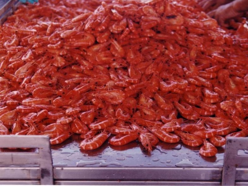 Cape Cleveland QLD 4810