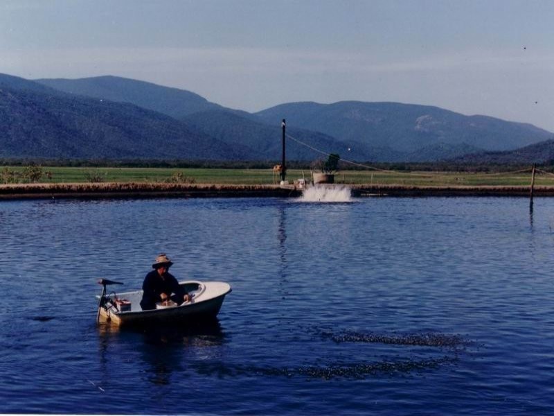 Cape Cleveland QLD 4810