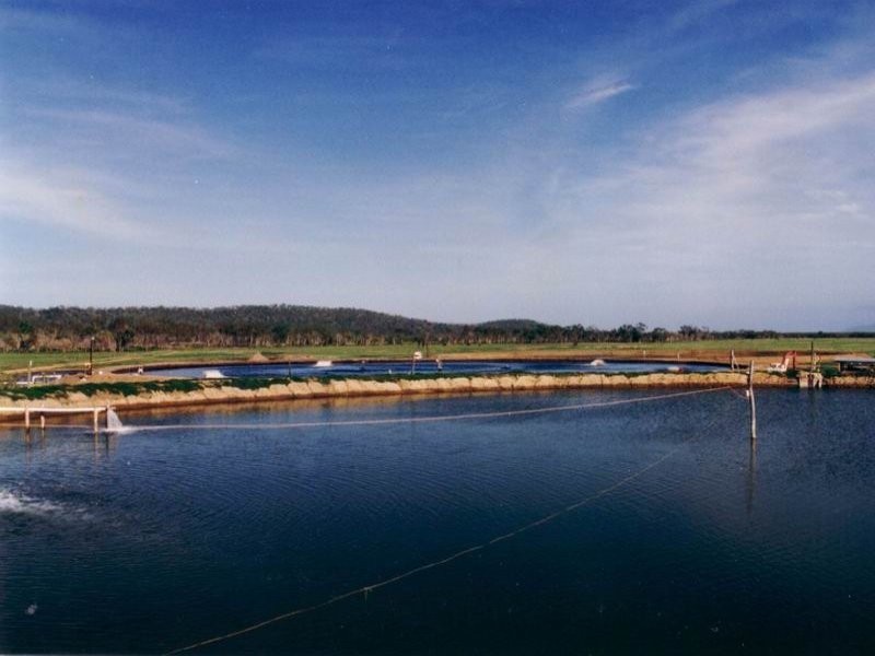 Cape Cleveland QLD 4810