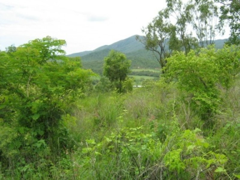 Alligator Creek QLD 4816