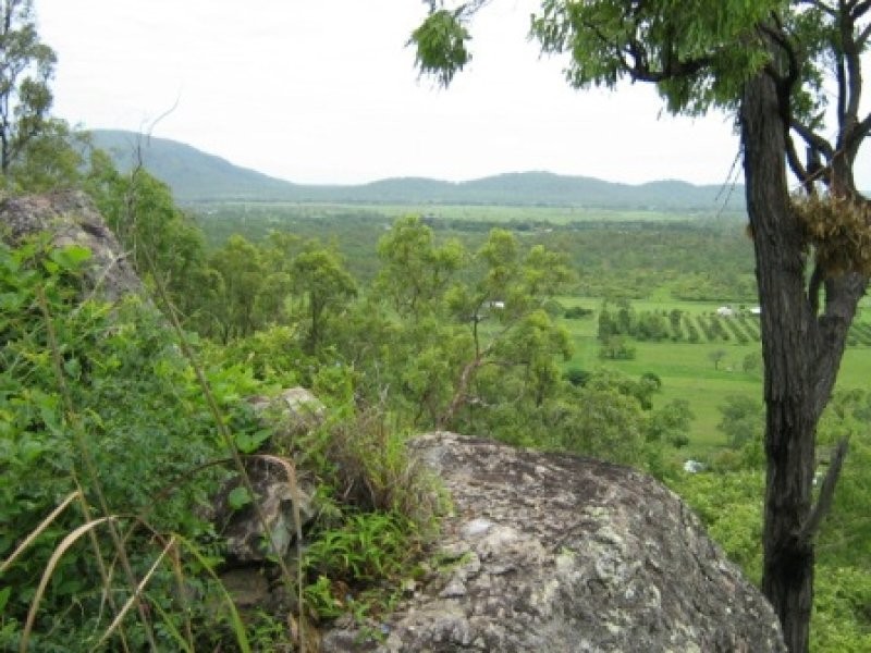Alligator Creek QLD 4816
