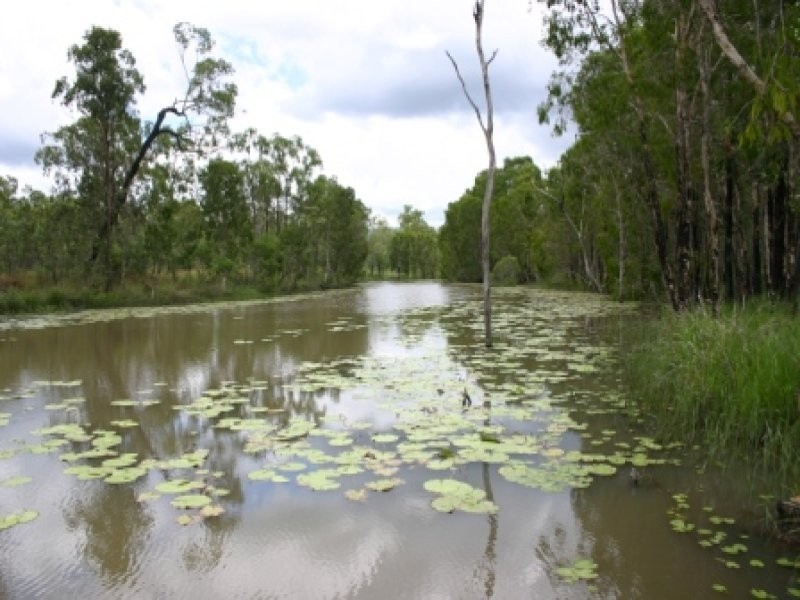 Lot 15 Blue Mountain Drive, Bluewater Park QLD 4818