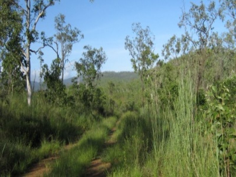 Bluewater Park QLD 4818