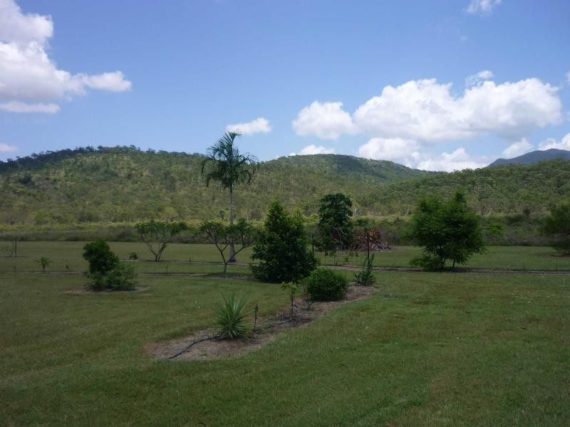 Majors Creek QLD 4816