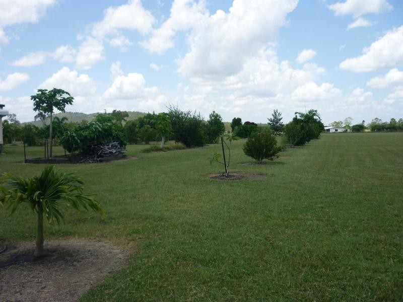 Majors Creek QLD 4816