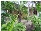 46 Jones Street, Mooloolah Valley QLD 4553