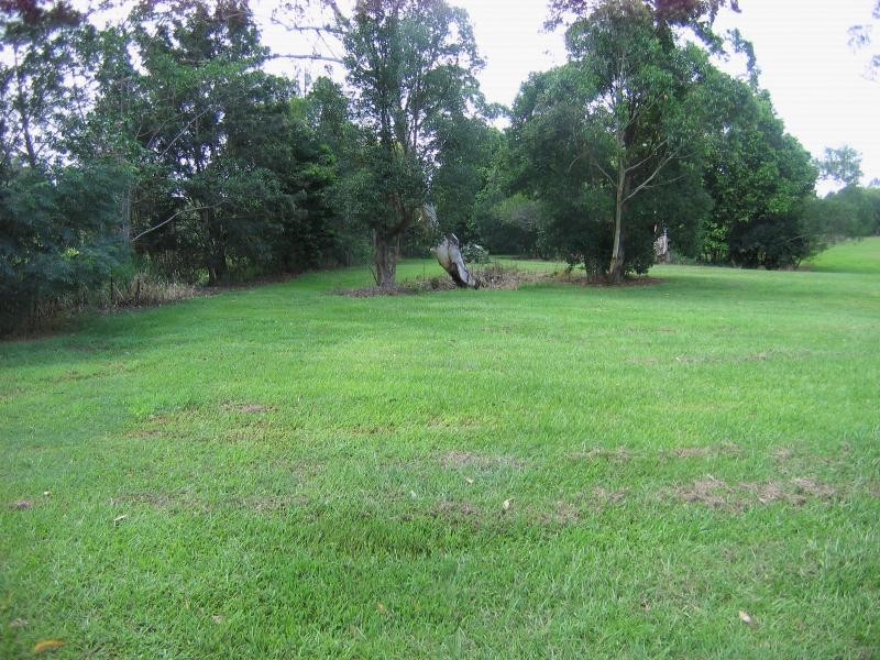 19 Platypus Court, Mooloolah Valley QLD 4553