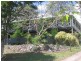 Mooloolah Valley QLD 4553
